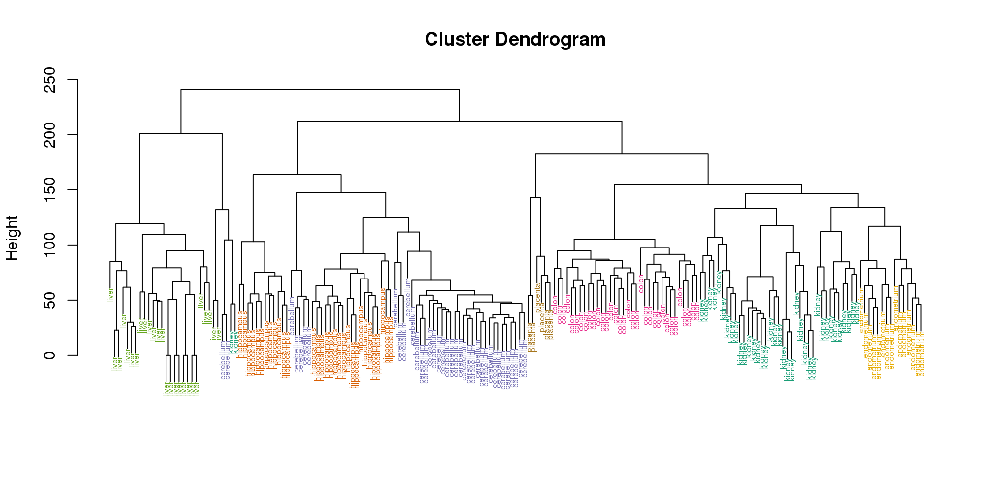 Dendrogram showing hierarchical clustering of tissue gene expression data with colors denoting tissues.