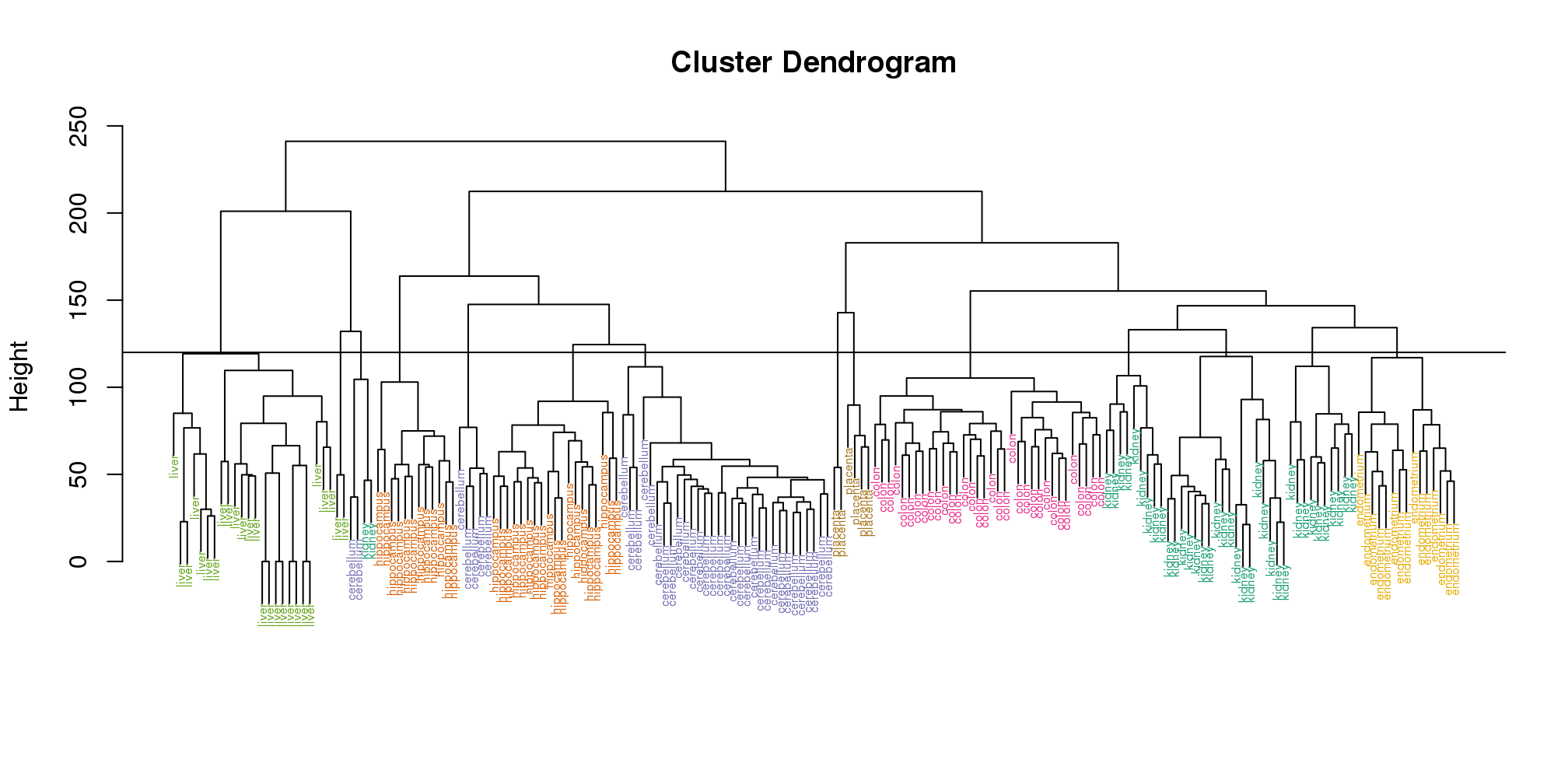 Dendrogram showing hierarchical clustering of tissue gene expression data with colors denoting tissues. Horizontal line defines actual clusters.