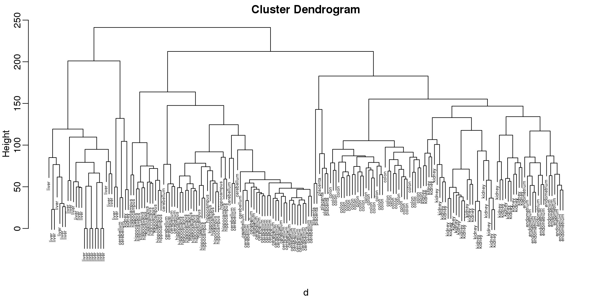 Dendrogram showing hierarchical clustering of tissue gene expression data.