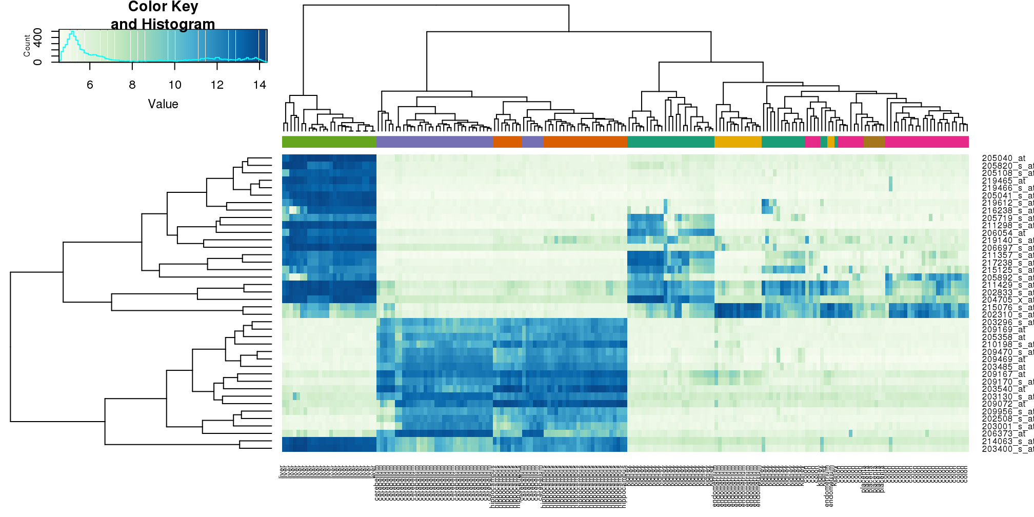 Heatmap created using the 40 most variable genes and the function heatmap.2.