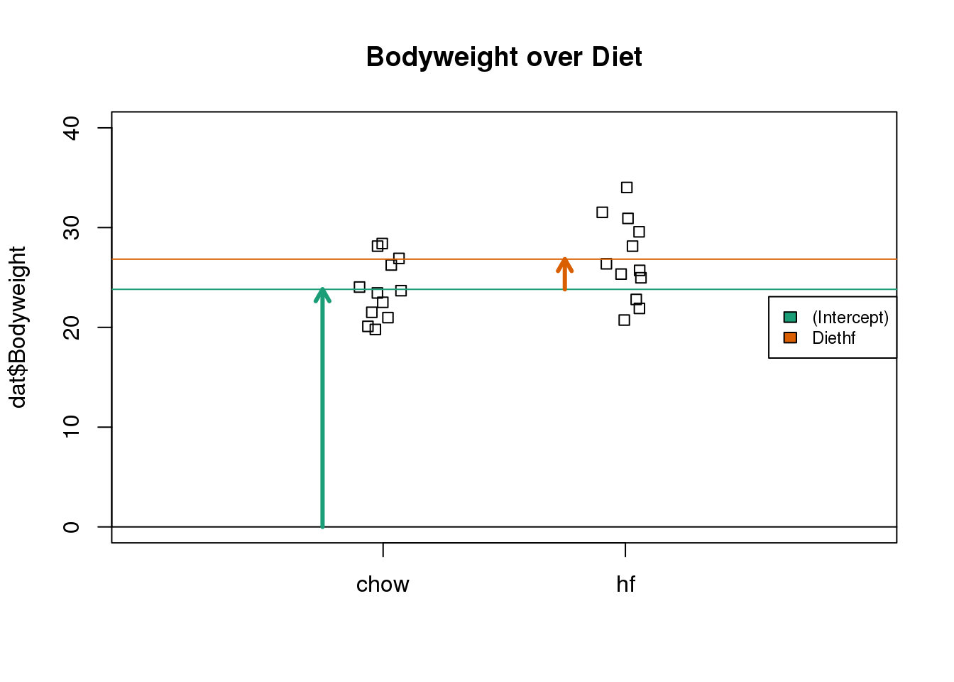 Estimated linear model coefficients for bodyweight data illustrated with arrows.